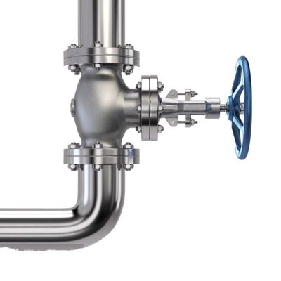 3 pollici personalizzati PN16 PN25 Acciaio Acciaio al carbonio Rising Stem Acqua Valvola di cancello manuale Valvola di scarico