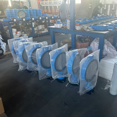 OEM Port Size Valvola a farfalla di estensione in ghisa con servizio post vendita di supporto