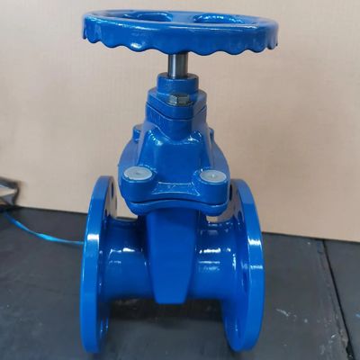 Valvola di porta di dimensione personalizzata con fianchetto resiliente con seduta per applicazioni minerarie