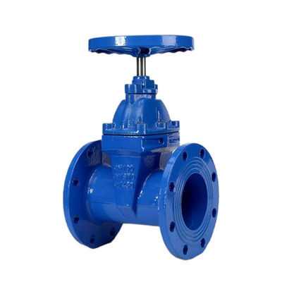 Tipo Y personalizzabile a vite interne Stem Soft Seal Gate Valve con flange in acciaio inossidabile