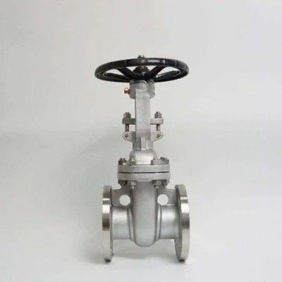 ANSI API 150Lb 300lb 3 pollici 4 pollici Y tipo Valvola di porta manuale in acciaio inox