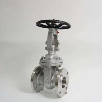 ANSI API 150Lb 300lb 3 pollici 4 pollici Y tipo Valvola di porta manuale in acciaio inox
