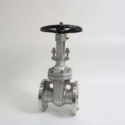 ANSI API 150Lb 300lb 3 pollici 4 pollici Y tipo Valvola di porta manuale in acciaio inox