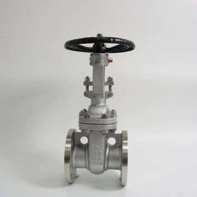 ANSI API 150Lb 300lb 3 pollici 4 pollici Y tipo Valvola di porta manuale in acciaio inox