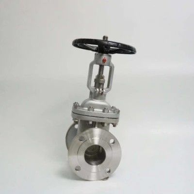 ANSI API 150Lb 300lb 3 pollici 4 pollici Y tipo Valvola di porta manuale in acciaio inox
