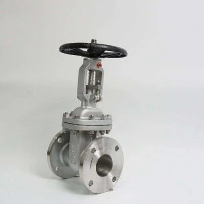 ANSI API 150Lb 300lb 3 pollici 4 pollici Y tipo Valvola di porta manuale in acciaio inox