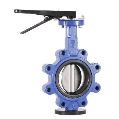 API609 EPDM PTFE rivestito di ferro fuso tipo wafer per le esigenze personalizzate