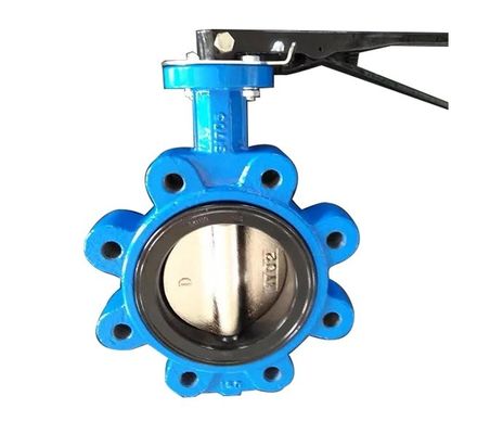 API609 EPDM PTFE rivestito di ferro fuso tipo wafer per le esigenze personalizzate