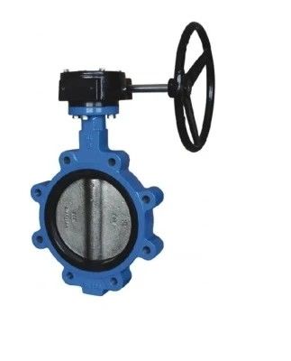 API609 EPDM PTFE rivestito di ferro fuso tipo wafer per le esigenze personalizzate