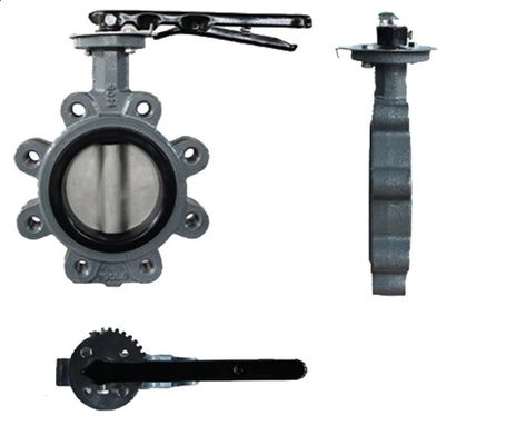 API609 EPDM PTFE rivestito di ferro fuso tipo wafer per le esigenze personalizzate