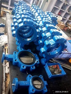 Personalizzazione JIS 10k/5k PN10/16 Aluminio Bronzo Corpo in acciaio inossidabile EPDM NBR PTFE Sedile Lug Tipo farfalla