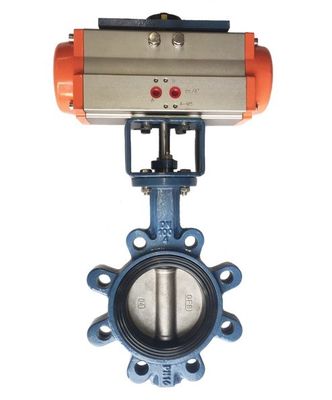 Personalizzazione JIS 10k/5k PN10/16 Aluminio Bronzo Corpo in acciaio inossidabile EPDM NBR PTFE Sedile Lug Tipo farfalla