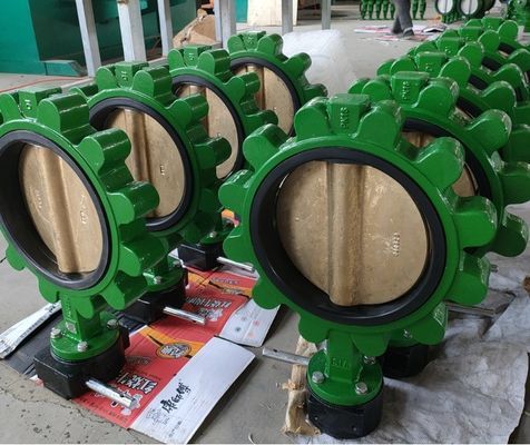 Valvola di tipo farfalla per controllo dell'acqua in ghisa elettrica