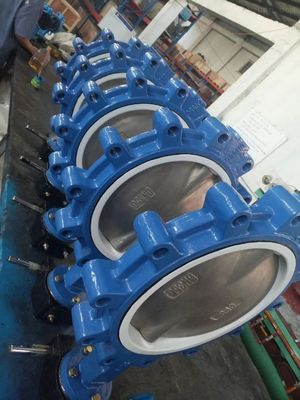 Valvola a farfalla di tipo SS Lt in ferro fuso con anello di tenuta in PTFE EPDM personalizzato