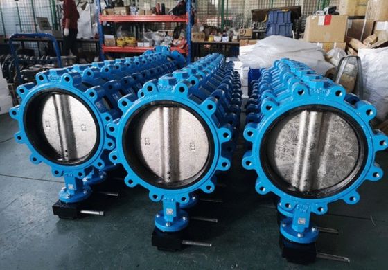 Valvola a farfalla di tipo SS Lt in ferro fuso con anello di tenuta in PTFE EPDM personalizzato