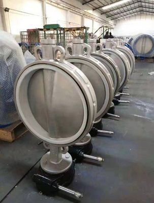 Valvola farfalla in acciaio inossidabile DN200 personalizzata GGG50 EPDM con certificato