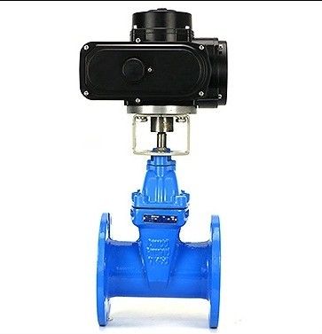 DN150 PN16 WCB NKZ961H Valvola di porta a vuoto a flangia elettrica per requisiti personalizzati