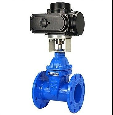 Disponibile OEM Acciaio al carbonio WCB NKZ961H Valvola di cancello a vuoto a flangia elettrica Standard DIN F6