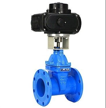 Disponibile OEM Acciaio al carbonio WCB NKZ961H Valvola di cancello a vuoto a flangia elettrica Standard DIN F6