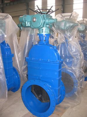 Disponibile OEM Acciaio al carbonio WCB NKZ961H Valvola di cancello a vuoto a flangia elettrica Standard DIN F6