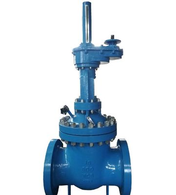 Valvole di cancello struttura tipo Y ANSI API 150Lb 300lb 20 pollici di acciaio al carbonio flange forgiato acciaio