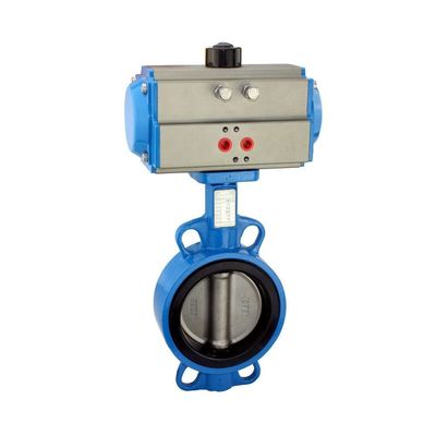 PN16 PN25 DN40-DN400 300LB Valvola a farfalla a bassa temperatura