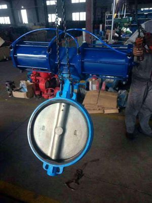 PN16 PN25 DN40-DN400 300LB Valvola a farfalla a bassa temperatura