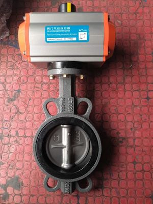 PN16 PN25 DN40-DN400 300LB Valvola a farfalla a bassa temperatura