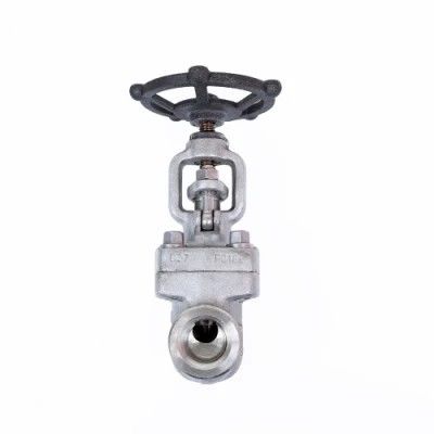 Valvola di scarico per valvole di porta personalizzata per i vostri standard industriali