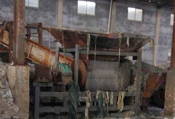 Macchina di taglio di pelle di maiale per la produzione di gelatina in acciaio inossidabile