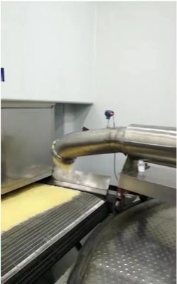 Macchina di estrussione per la gelatina di pesce con supporto post-vendita