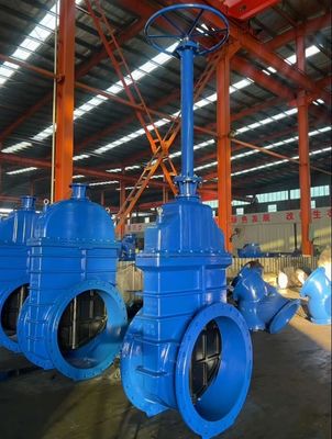 Componenti e accessori per valvole meccaniche di porta di ferro duttile per supporti ad alta temperatura