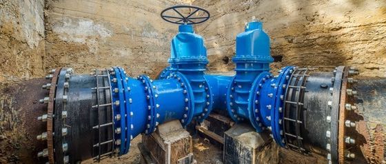 Componenti e accessori per valvole meccaniche di porta di ferro duttile per supporti ad alta temperatura