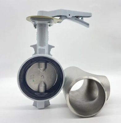 Dimensione della porta con le esigenze del cliente Valvola della farfalla dell'acqua di mare DN100 DN500 2" 4