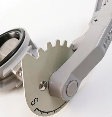 Dimensione della porta con le esigenze del cliente Valvola della farfalla dell'acqua di mare DN100 DN500 2" 4