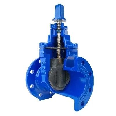 Valvola di porta di tipo Y flessibile per acqua con connessione a flange e materiale in acciaio inossidabile