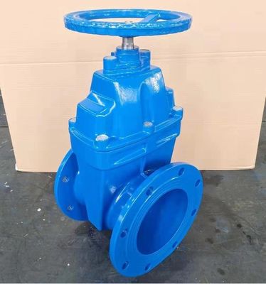 Valvola di porta di tipo Y flessibile per acqua con connessione a flange e materiale in acciaio inossidabile