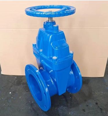 Valvola di porta di tipo Y flessibile per acqua con connessione a flange e materiale in acciaio inossidabile
