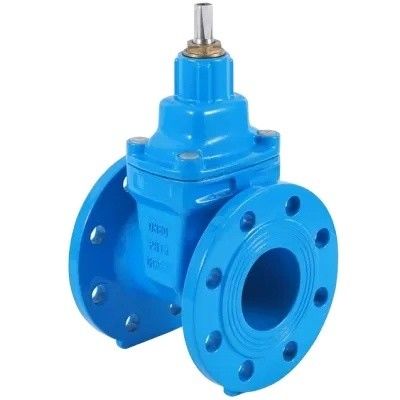 DN80 DN200 Y filtro per tubi in HDPE PN16 Valvola di porta in ferro duttile, acciaio al carbonio