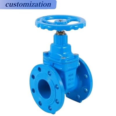 Valvola di accesso per gas per sedile metallico DN50 Ductile in ghisa in acciaio Pn16