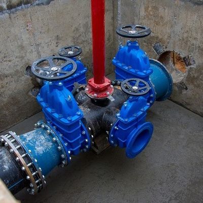 Struttura tipo Y ANSI/API/ASTM/ASME/WCB Flange Ball Globe Check Butterfly Gate Valve
