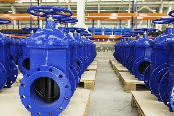 Struttura tipo Y ANSI/API/ASTM/ASME/WCB Flange Ball Globe Check Butterfly Gate Valve