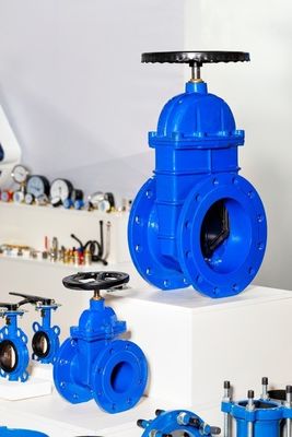 Struttura tipo Y ANSI/API/ASTM/ASME/WCB Flange Ball Globe Check Butterfly Gate Valve
