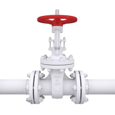 DN40-DN65 Valvola universale a doppia palla di rilascio automatico dell'aria per scarico d'acqua o di irrigazione