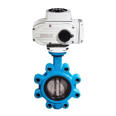 Supporto personalizzato ODM Manuale in acciaio inossidabile Worm Gear Lug Butterfly Sanitary Valve