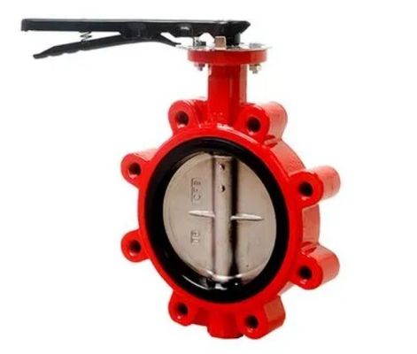 Supporto personalizzato ODM Manuale in acciaio inossidabile Worm Gear Lug Butterfly Sanitary Valve