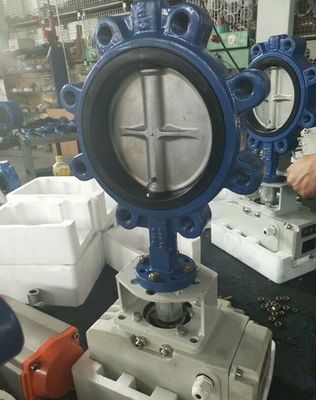 Supporto personalizzato ODM Manuale in acciaio inossidabile Worm Gear Lug Butterfly Sanitary Valve