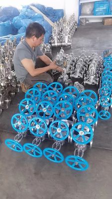 Valvole manuali lunghe Ss corpo e disco per applicazioni a foratura completa con flange/saldate