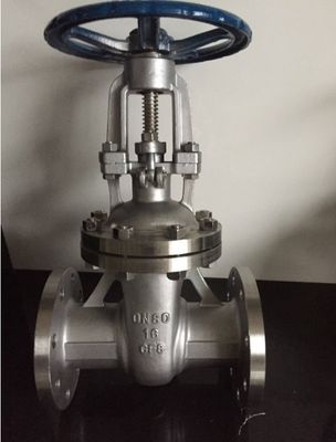 CF8 Valvola di sfilata a fianco in acciaio inossidabile per filtrazione di filtri industriali di tipo Y