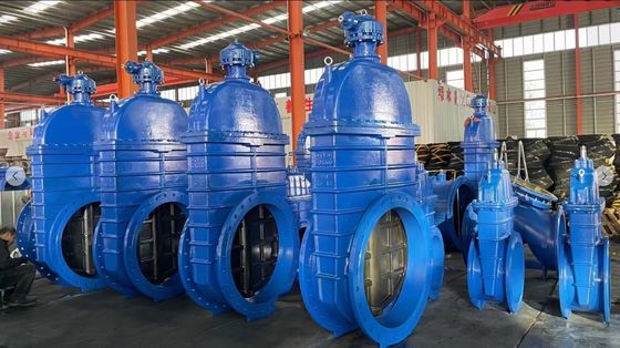 Dipende dalle specifiche CI DI Rubber Seal Gate Valve con i migliori prezzi